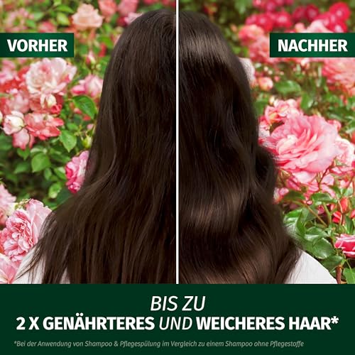 Herbal Essences Schwereloses All In 1 Leave-In Spray mit Rosenduft 145ml Entwirrt, Nährt, Reduziert Frizz, Schützt vor Hitze, Verleiht Glanz