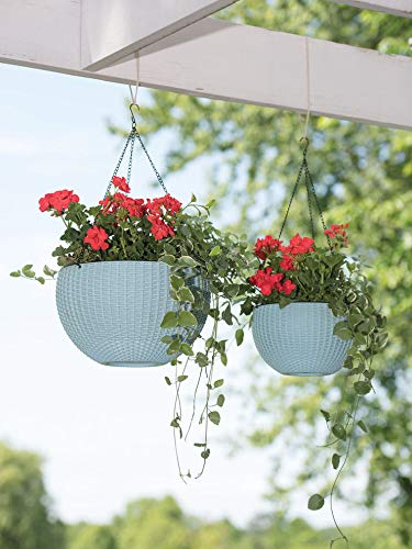 Decorations Cart Garden Hanging Planters Plastic Pots Sanitized with Hanging Chains for Balcony (Pack of 4) White Color |8 Inches Diameter (B08CCRJGXN) Amazon Price History, Amazon Price Tracker
