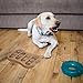 Relaxdays Intelligenzspielzeug für Hunde, Leckerli verstecken, MDF, interaktives Hundespielzeug Intelligenz, natur, 1 Stück