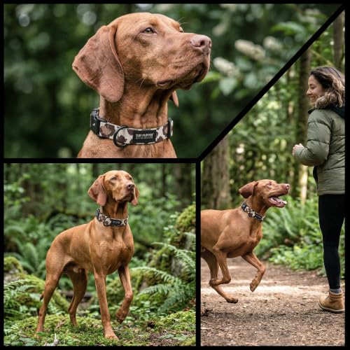 Image of Tuff Pupper Premium Adjustable Dog Collar, Stylish Pattern Collars Designed in USA, Quick Release Buckle, Urban Jungle Small (0.7 Inch Wide x 8-12 Inch Neck)