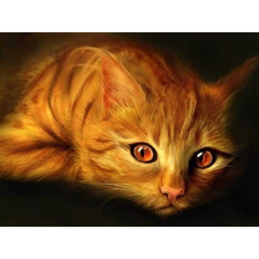 Kit broderie diamant 5D chat orange : point de croix moderne pour décorer votre salon cocooning