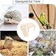 Hamster Plattform, Hamster Etage with Ladder Bridge, Climbing Platform for Small Pets, Wooden Play Structure for Rats, Gerbils, Chinchillas, Squirrels and Pet Birds, Cage Toy