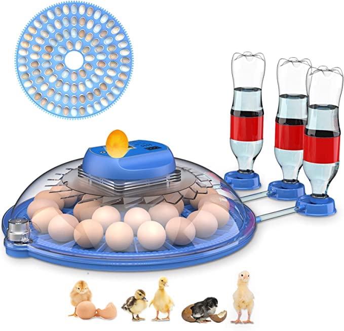8-Eier Inkubator Brutapparat - Automatische Temperatur & Feuchtigkeitskontrolle Für Hühner, Wachteln & Enten