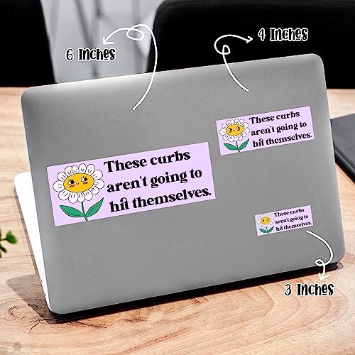 These Curbs aren\'t Going to Hit Themselves Sticker, Stickers for Water Bottles, Skateboards and Notebooks, Laptop Kindle and Funny Bumper Stickers, Size 6\"