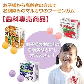 xylitol様 EUDブリッジ マルチカム 楽天市場】CHESDENT チューズデント ボトルガム 126g 1個 ライム