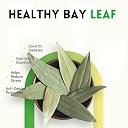 JAIPUR MASALE Natural Bay Leaves | Organic Tejpan Patta | Bay Dry Leaves | Organic Indian Whole Spices | Tez patta | Fresh - 900 gm with jute Bag gallery image