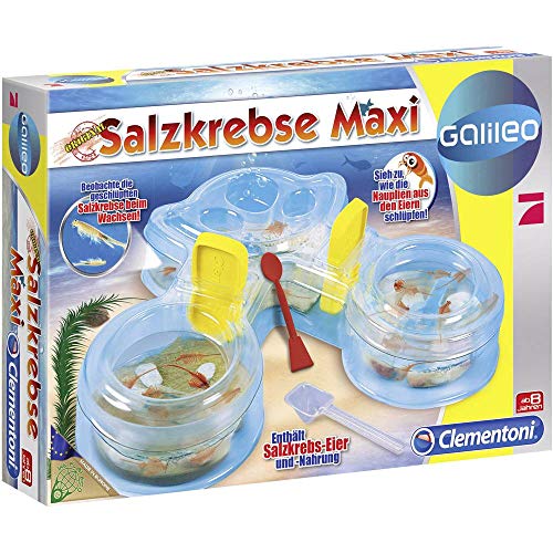 Clementoni Galileo 69350.4 - Salzkrebse Maxi, Entdeckerspielzeug