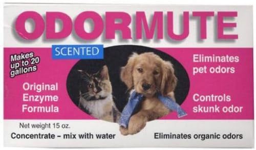 Scented - 15 oz