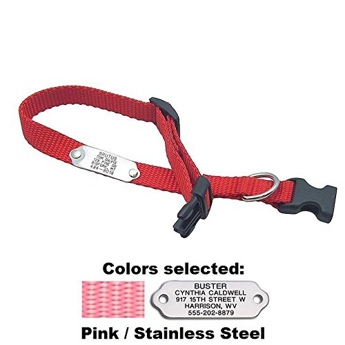 dog identification collar