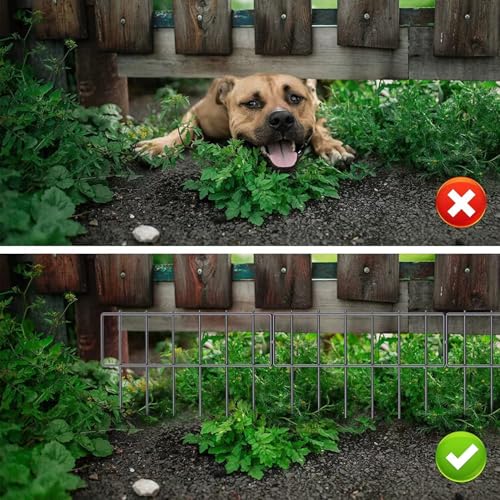 TAZZOR 10er-Packung Dekorative Zäune, Hundegitter für den Garten Metallzaunelemente 42 cm (H) X 33 cm (B) Ideal als Steckzaun für Hunde Welpengitter Robust und stabil