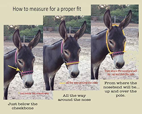 HalterUp Miniature Donkey Halters and Lead Ropes (2 Item Bundle) Available in 10 Colors (Turquoise, Large)