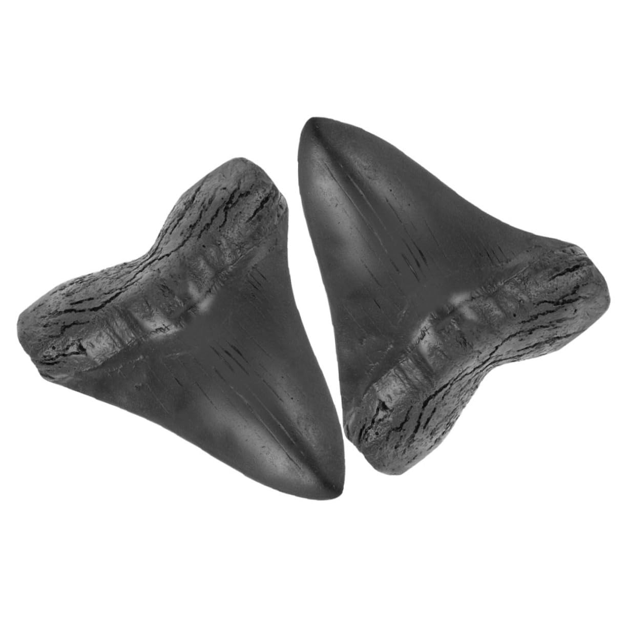 Modelo Simulado de Dientes de Megalodón Gigante en Resina, Réplica Fósil Decorativa Prehistórica, 2 Piezas, Accesorio Coleccionable para Decoración del Hogar y Ambientación
