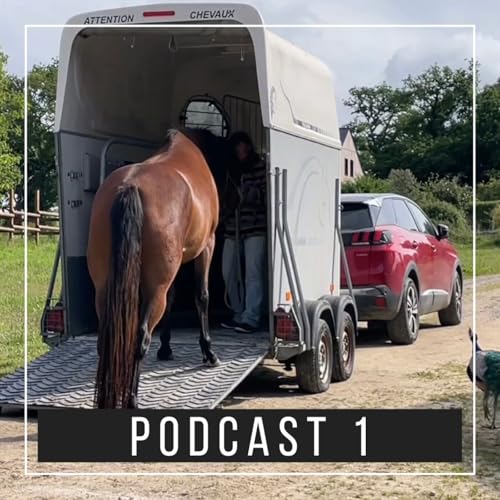 Podcast 1 : ma plus belle séance sur le van
