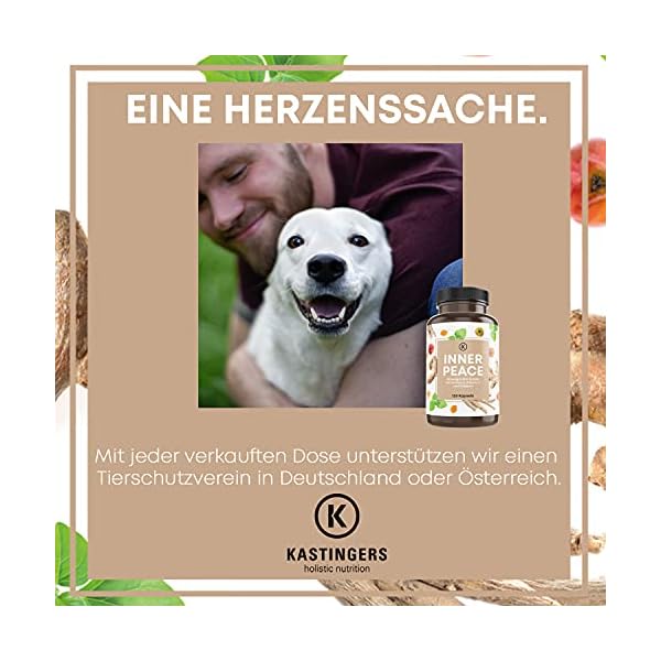 Ashwagandha Kapseln I ABVERKAUF MHD 03/23 I (120 Stück) mit Ashwagandha Extrakt, Kurkuma, Vitamin C und Folsäure I… – Bild 6