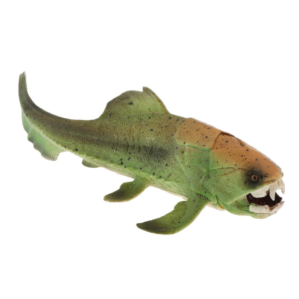 CLUB BOLLYWOOD® Realistic Static Ocean Animal Model Toy Kids Gift Dunkleosteus|Toys & Hobbies | Educational | Science & Nature | Animals & Nature|1 Piece Ocean Animal Model