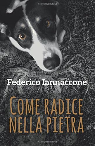 Come radice nella pietra