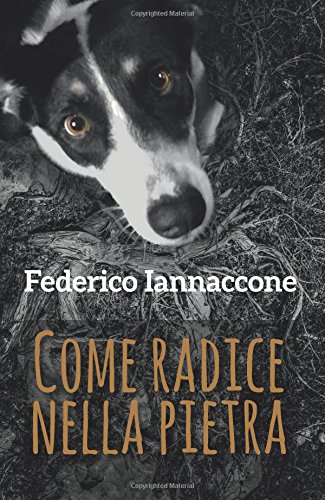 Come radice nella pietra