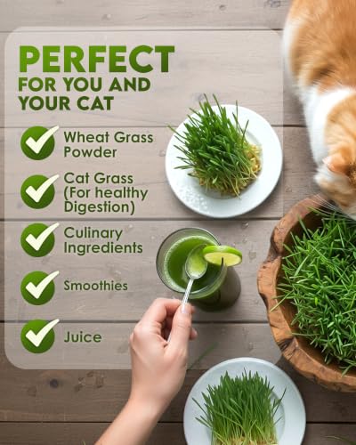 Image of Nature Jim's Sprouts - Organic Wheat Grass Sprouting Seeds - Non-GMO - 16oz