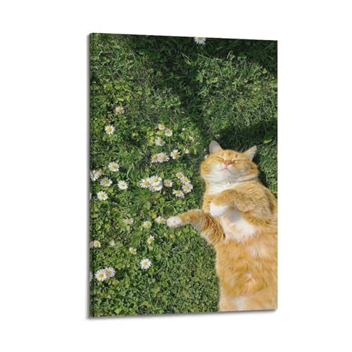 Poster chat orange ZHOUKEG pour habiller un mur blanc vide sans cadre lourd