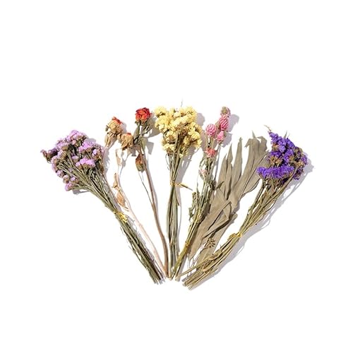 GUANGBOMCN nX^[? hCt[iσZbg VRf nX^[̂  P[WCAEg NF P[W (A)