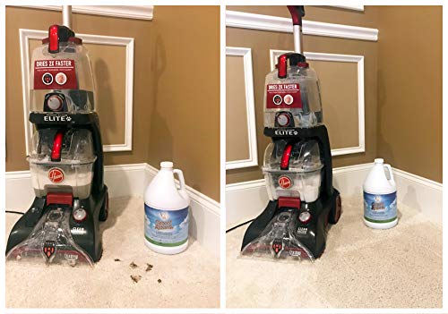 Carpet Miracle - The Best Carpet Cleaner Shampoo Solution for Machine Use, Deep Stain Remover and Odor Deodorizing Formula, Use On Rug Car Upholstery and Carpets, Smells Great, Concentrated Natural Formula and Leaping Bunny Certified (1 Gallon)