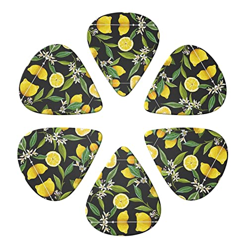 Lot de 6 médiators pour guitare acoustique, guitare électrique, basse, ukulélé Motif agrumes - Les Beatles, Paul McCartney, John Lennon, RIngo Starr, George Harrison Lot de 6 médiators pour guitare acoustique, guitare électrique, basse, ukulélé Motif agrumes – Image 5