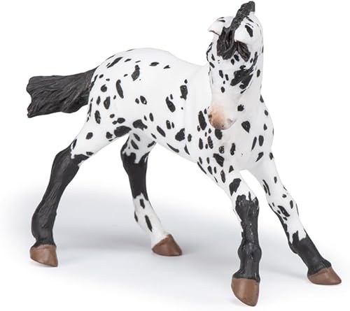 Miniatura 3 de Papo - Pintado a mano - Figura - Caballos, potros y ponis - Figura de potro de Appaloosa negro-51540 - Coleccionable - para niños - Adecuado para