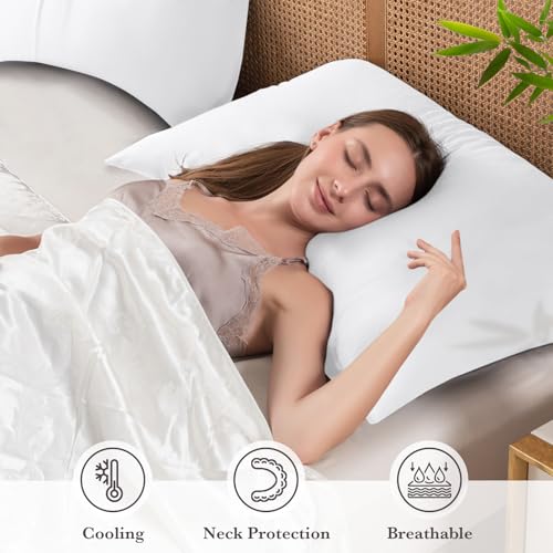 Curved Pillow Case Queen Size, Side Sleeper Pillow Cases Cover Cooling Rayon Derived from Bamboo with Zipper for hot Sleepers Hair and Skin, Breathable Silky Soft Pillowcase 1 Pack 20 * 30 Inches by JamRest - Image 3
