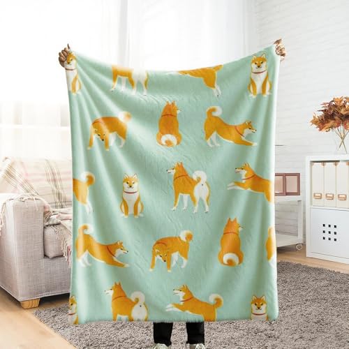 ѕz VO ӂƂѕz \t@[Jo[ xbhJo[ LN^[܂Ƃ߃vg d Ƃӂ blanket for all season Ђ 킢 \t@[ lGKp y ~Mۉ }CNt@Co[ Ódh~