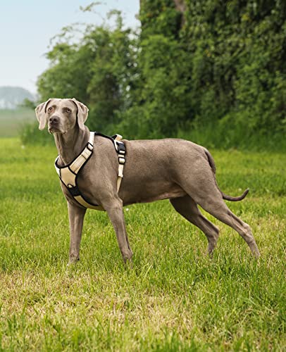 lionto Hundegeschirr gepolstert aus weichem Nylon, Größe L, reflektierendes Anti Zug Geschirr für Hunde mit 2 Ringen & 4 Einstellgurten, Zwei Klickverschlüsse & gummierter Griff am Rücken, beige