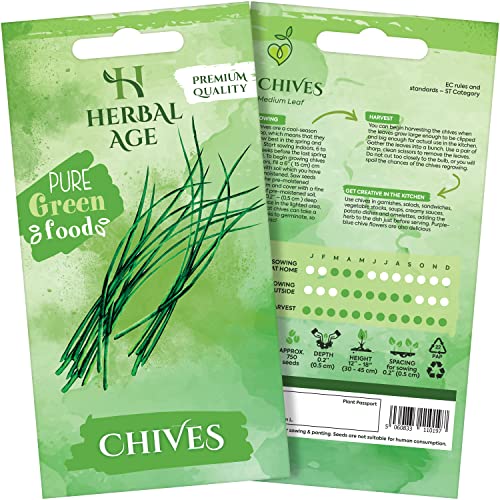 HERBAL AGE Chives Seeds Plants, Grow Your Own Herb Garden
