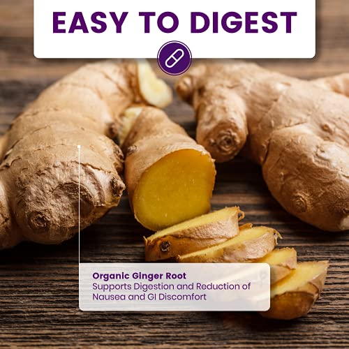 Baritransform Bariatric Multivitamin With Iron Capsule – 90 Ct – Bariatric Vitamins Multivitamin With Organic Ginger Root For Digestion Support – Once-A-Day Vitamins #TOP1