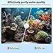 AQQA Aquarium Filter Media Balls 2.2lb (1000g) Aquarium Replacement Filter Balls 12-in-1 Ceramic Rings Set with Mesh Bag for Fish Tank, Pond, Canister Filter