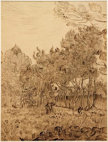 Tableau Vincent Van Gogh Im Park Der Heilanstalt impression d'art mural 60x90cm