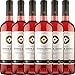 Produktbild 6er Weinpaket Rosé - Santa Digna Rosé 2020 - Miguel Torres Chile mit VINELLO.weinausgießer | Roséwein trocken | chilenischer Sommerwein aus Valle Central | 6 x 0,75 Liter