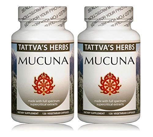 Mucuna Pruriens Extract - Kapikachhu, Velvet Bean Herbal Supplement 240 Count (Pack of 2) from Tattva's Herbs Mucuna Pruriens Extract - Kapikachhu, Velvet Bean Herbal Supplement 240 Count (Pack of 2) from Tattva's Herbs