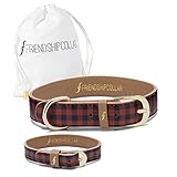 FriendshipCollar Dog Collar and Friendship Bracelet - The Hipster Pup - X Small