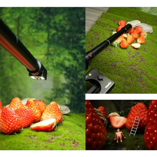 Ficha técnica AstrHori 18mm F8 2X Micro Periscope Probe Lens - Fernando Cortés Ficha técnica AstrHori 18mm F8 2X Micro Periscope Probe Lens - Fernando Cortés