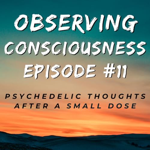 Observing Consciousness Ep 11: Psychedelic Thoughts After a Small Dose