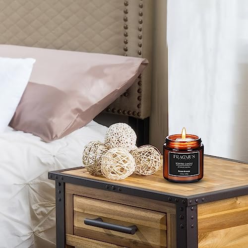 Fragmus FR01-100 Scented Candles Ocean Breeze,Calssic Scents Candle thumb #4