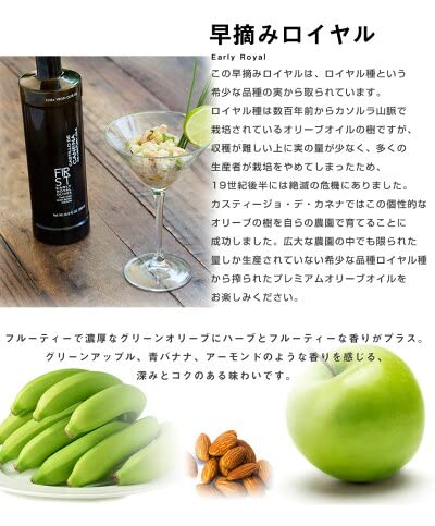 CASTILLO DE CANENA - Olio extravergine di oliva