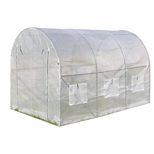 Foliengewächshaus Test