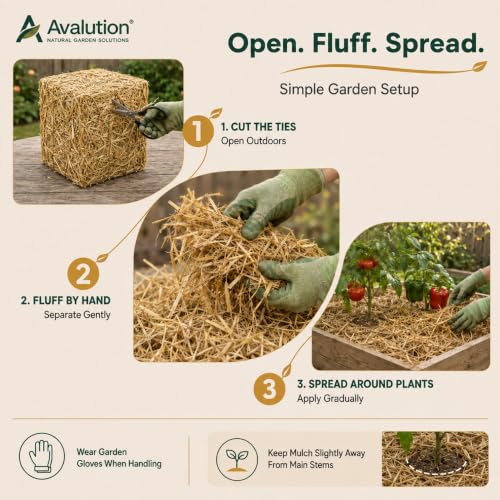 Natural Wheat Straw Mini Bale, 2.2 LB Compressed Straw for Planters, Small Garden Beds & Animal Bedding — Fall and Halloween Porch Decor, Pumpkin Display, Weed Cover & Moisture Retention by Avalution - Used condition - Image 8