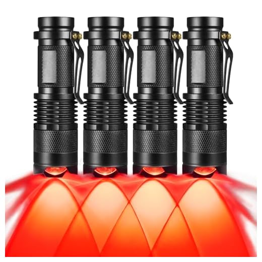 RaySoar 4 Pack Red Light Flashlight Red LDE Flashlight Red Flashlight Night Vision Flashlight for Astronomy, Night Observation and Outdoor Activities(4 PCS)