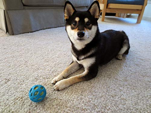 JW Bola Crackle Ball Para Cães, Azul, Grande