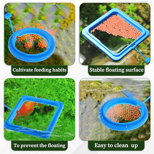 Image of 2 Pcs Fish Feeding Ring, Aquarium Feeding Ring Turtle Tank Accessories Automatic Square and Round Floating Food Feeder with Suction Cup for Betta Guppy Goldfish (Blue)