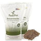 SaatPur® Dauerweide für trockene Standorte, 20 kg für 6.000 m², Hoher Futterwert für strukturreiches Futter, dichte Narbe, geeignet für stark beanspruchte Pferdeweiden, Neusaat und Nachsaat