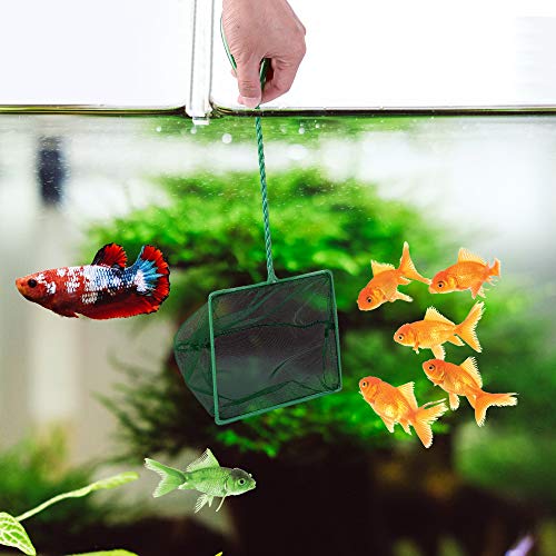 Image of Lpraer 4in 5in 6in Aquarium Fish Net Green Fine Mesh Nylon Net Collection with 11 inch Long Handle Square Quick Catch Fish Net for Fish Tank