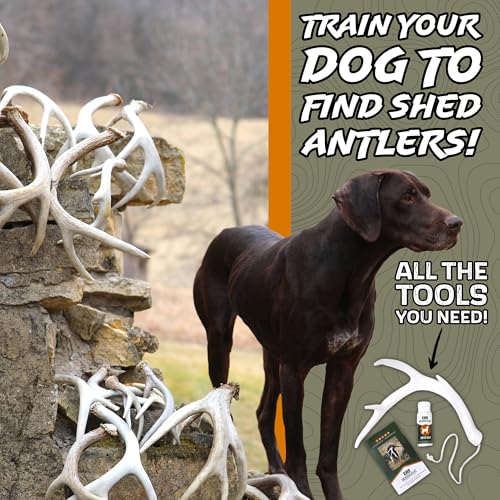 image for DogBone Shed Hunting Dog Training Kit – Train Your Puppy to Find Dee