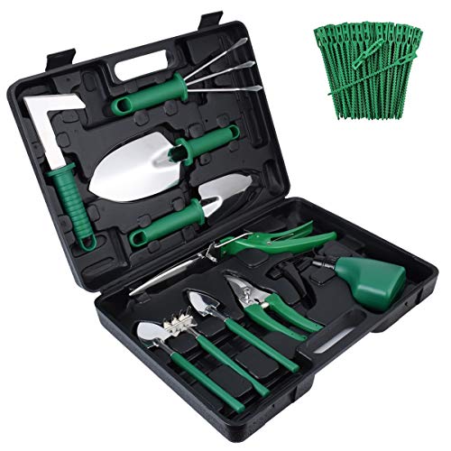Preisvergleich Produktbild CT Gartenwerkzeug Set, 10 Stück Gartengeräte Sets aus Edelstahl, ergonomischer Griff Gartenarbeits Set mit Tragetasche, Geschenk für Gartenliebhaber
